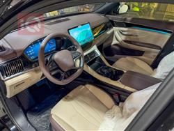 بي واي دي سونغ بلس